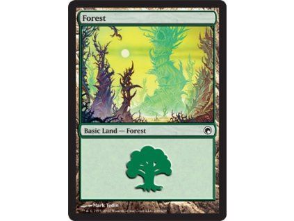Forest