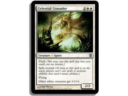 Celestial Crusader