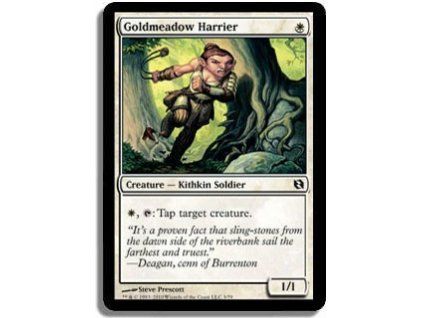 Goldmeadow Harrier