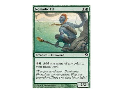 Nomadic Elf
