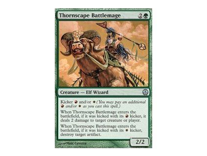 Thornscape Battlemage