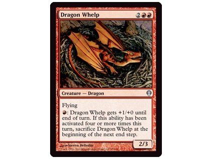 Dragon Whelp