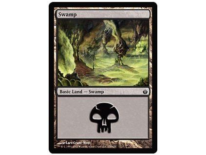 Swamp