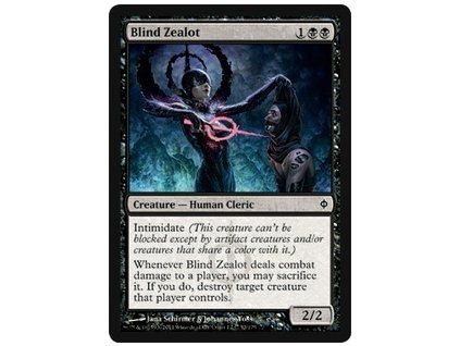 Blind Zealot