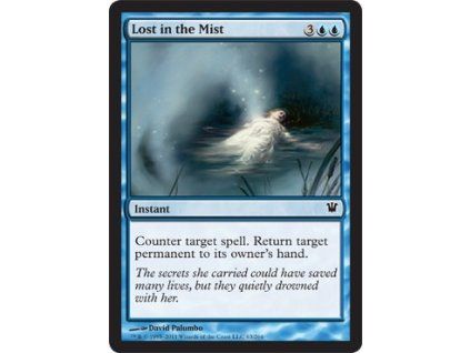 Lost in the Mist