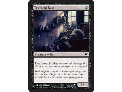 Typhoid Rats
