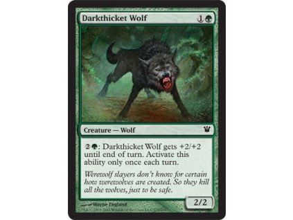 Darkthicket Wolf