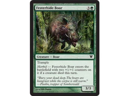 Festerhide Boar