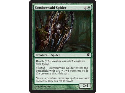 Somberwald Spider