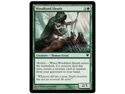 Woodland Sleuth