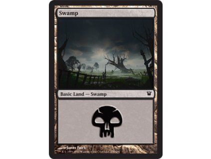 Swamp