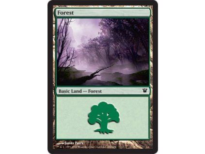 Forest