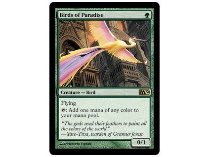 Birds of Paradise
