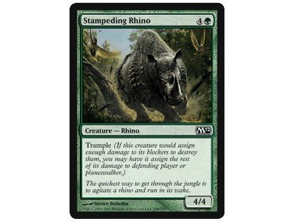 Stampeding Rhino