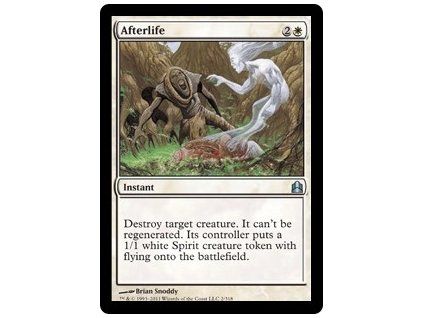 Afterlife