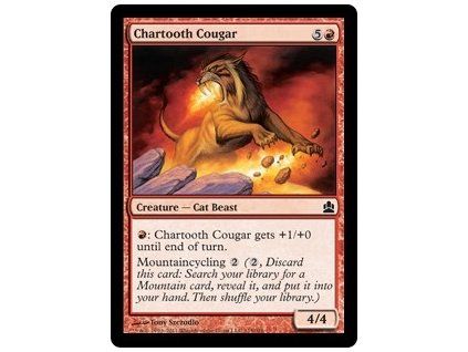 Chartooth Cougar