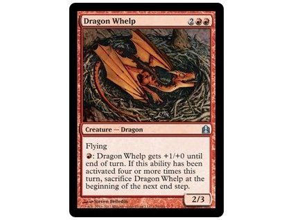 Dragon Whelp