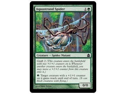 Aquastrand Spider