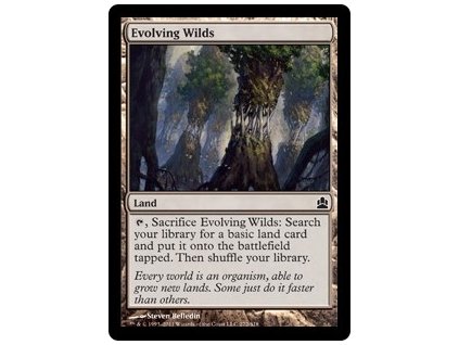 Evolving Wilds (Foil NE, Stav Near Mint)