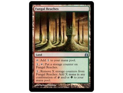 Fungal Reaches