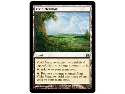 Vivid Meadow