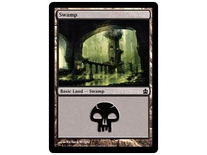 Swamp (Foil NE, Stav Near Mint)