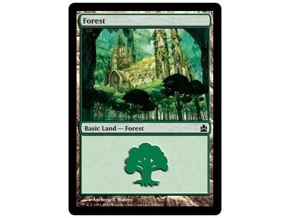 Forest