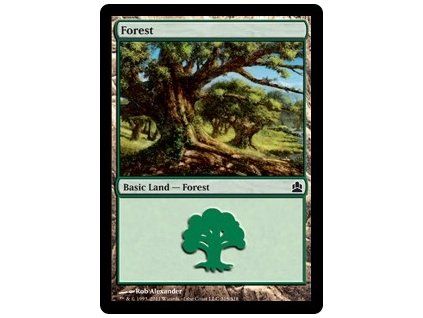 Forest