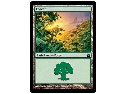 Forest