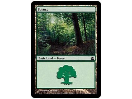 Forest