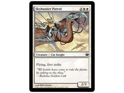 Skyhunter Patrol