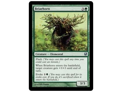 Briarhorn (Foil NE, Stav Near Mint)