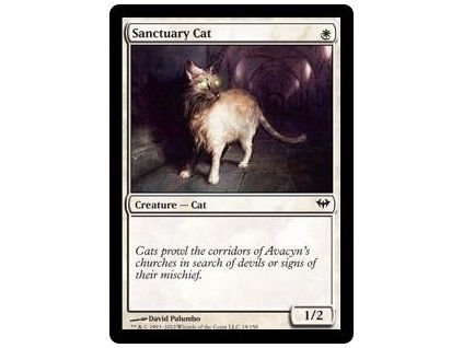 Sanctuary Cat