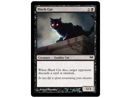 Black Cat