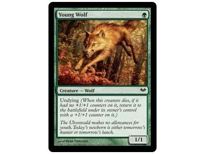Young Wolf
