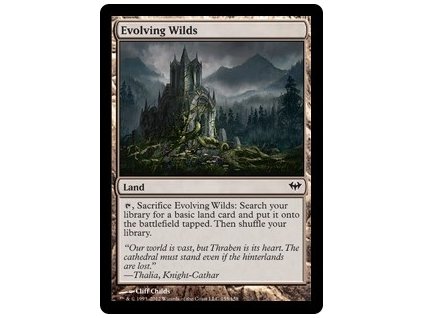 Evolving Wilds (Foil NE, Stav Near Mint)