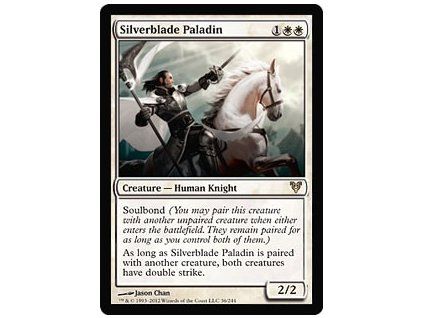 Silverblade Paladin