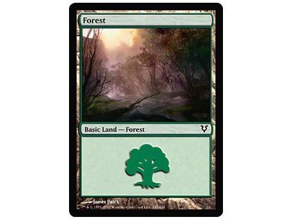 Forest