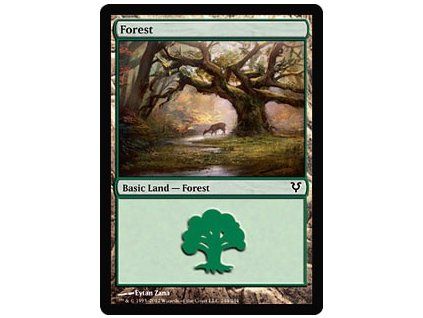Forest