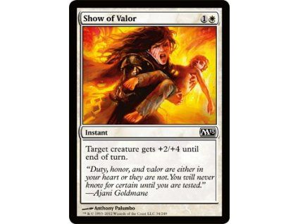 Show of Valor