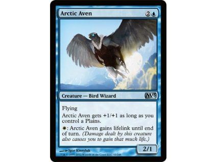 Arctic Aven