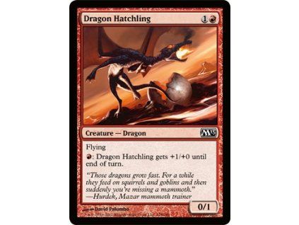 Dragon Hatchling