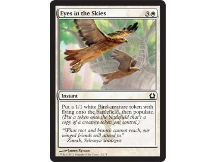 Eyes in the Skies