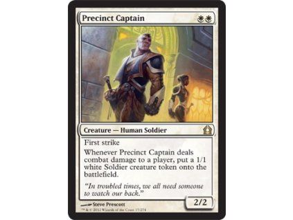 Precinct Captain