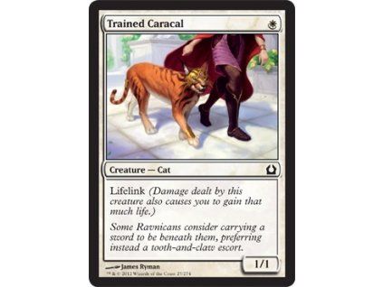 Trained Caracal