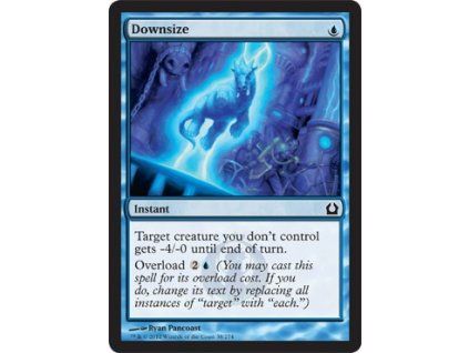 Downsize