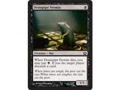 Drainpipe Vermin