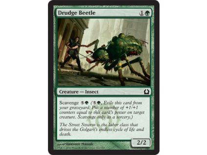 Drudge Beetle