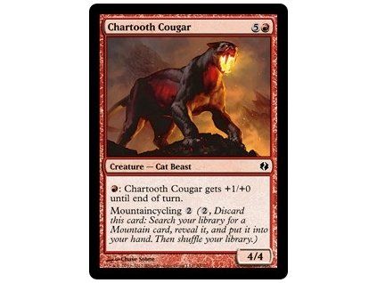 Chartooth Cougar