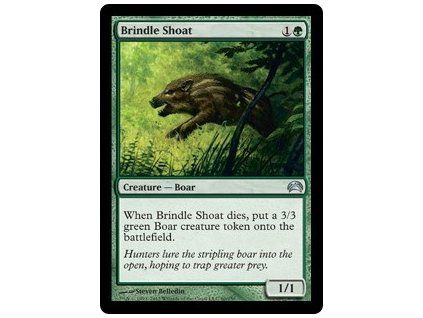 Brindle Shoat